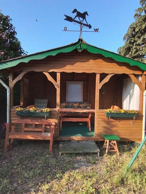 42 Qm Ferienwohnung Grömitz المظهر الخارجي الصورة